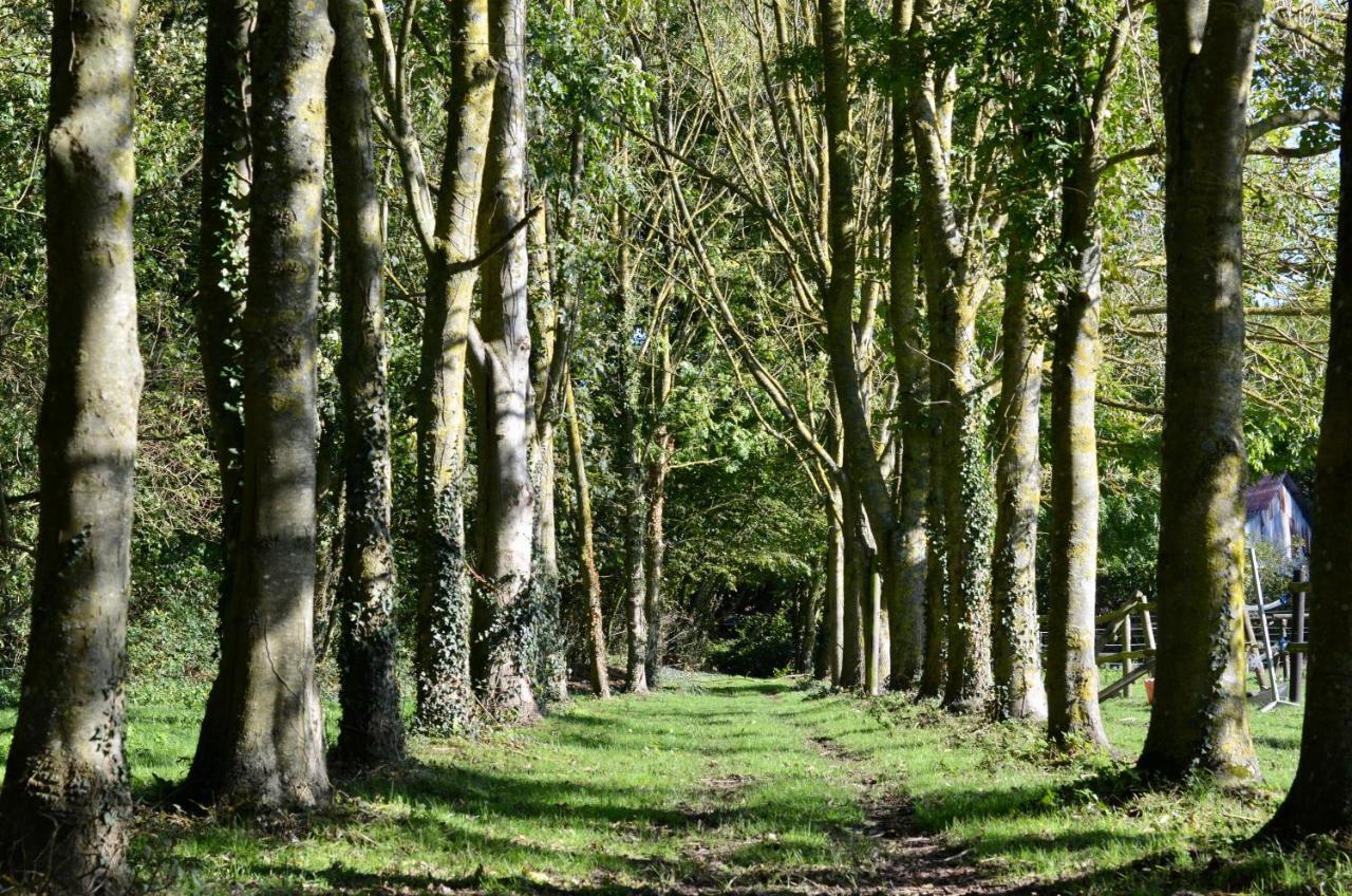 B&B La Tour Blanche Forest-Montiers Luaran gambar