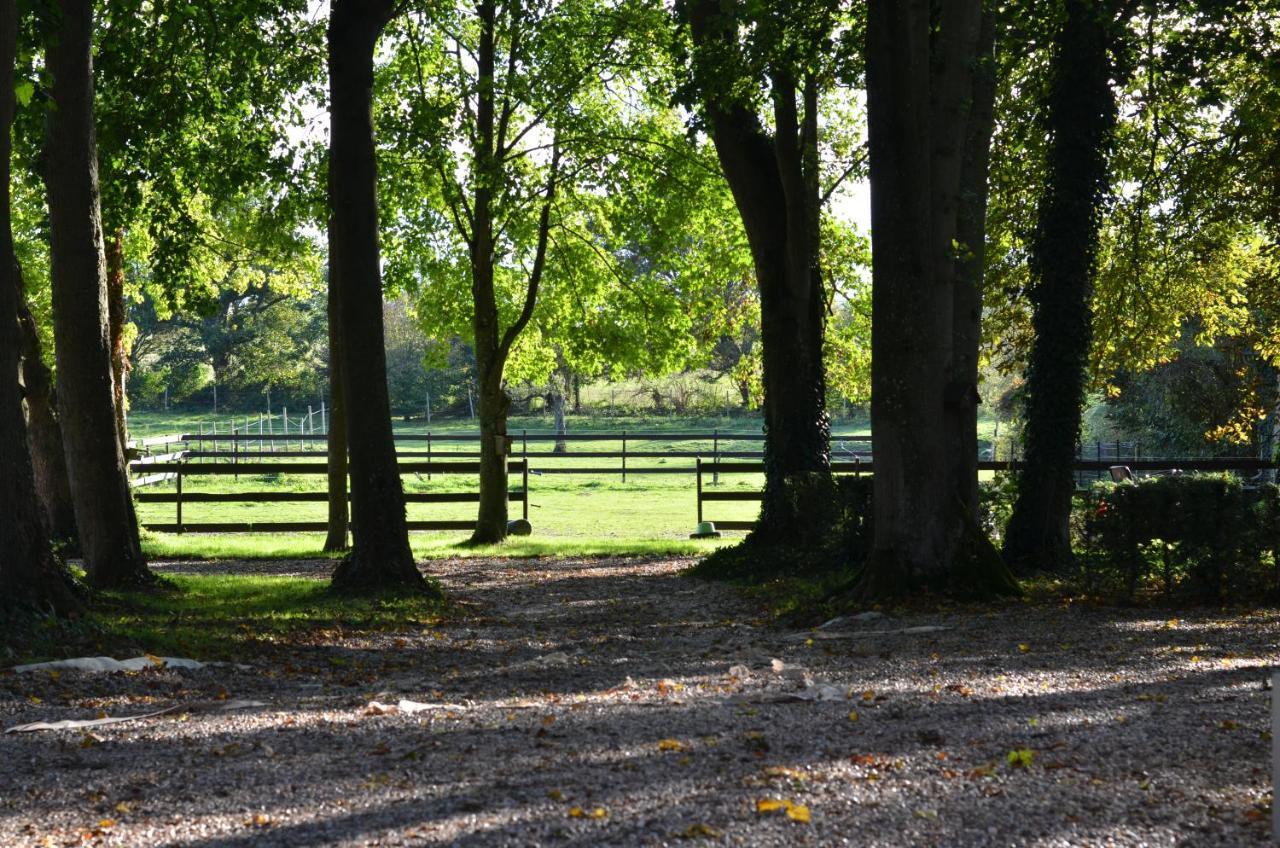 B&B La Tour Blanche Forest-Montiers Luaran gambar