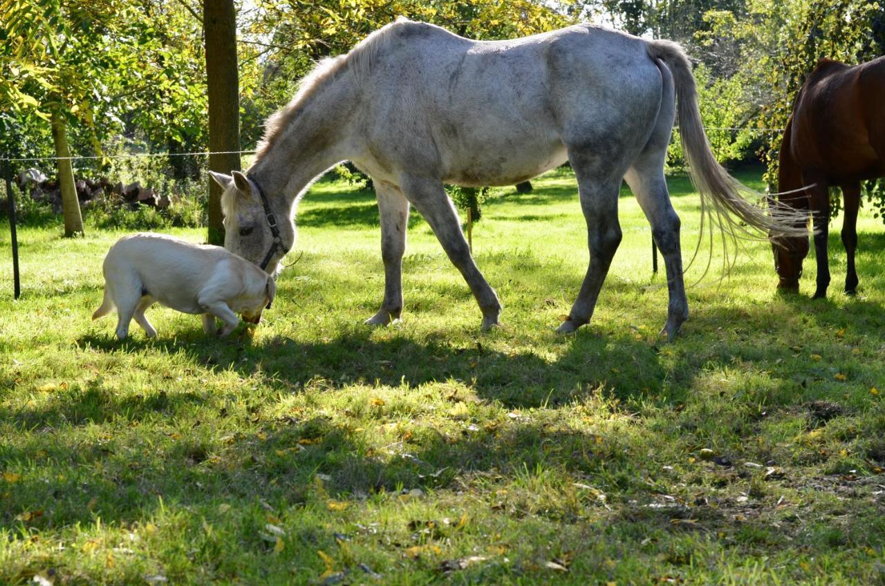 B&B La Tour Blanche Forest-Montiers Luaran gambar